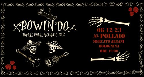 Bowindo Dark folk Acoustic duo